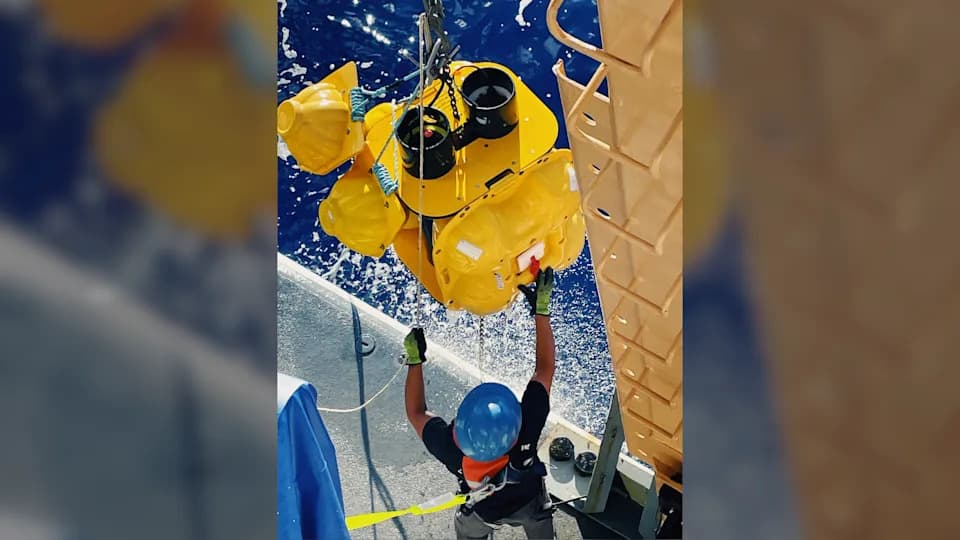 Morska simfonija Meksičkog zaliva — kako projekat LISTEN prisluškuje okean da bi spasao Riceov kit