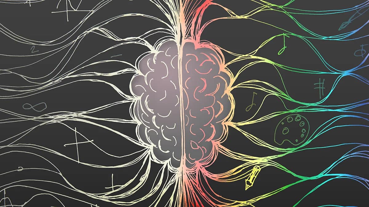 Skriveni ritmovi mozga i creva: ista fizika upravlja peristaltikom i pulsacijama moždanih sudova