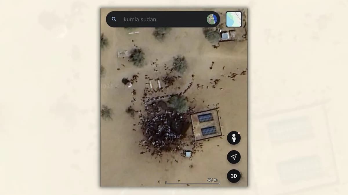 Provera činjenica: Google Earth snimak iz Kumia nije dokaz masakra — to su stado životinja kod vodene rupe