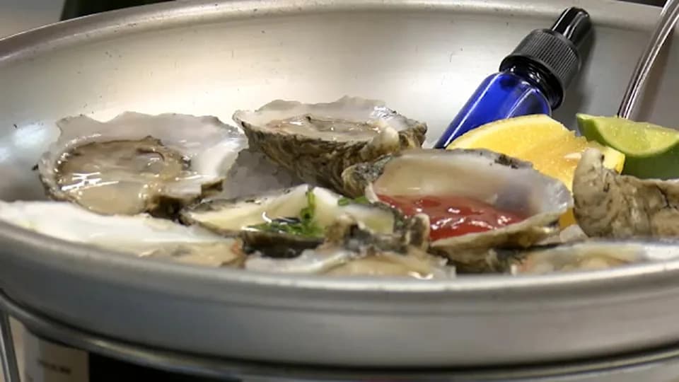 Rawleigh Oyster Fest: uzgajivači ostriga prikupljaju sredstva za obnovu grebena u Severnoj Karolini