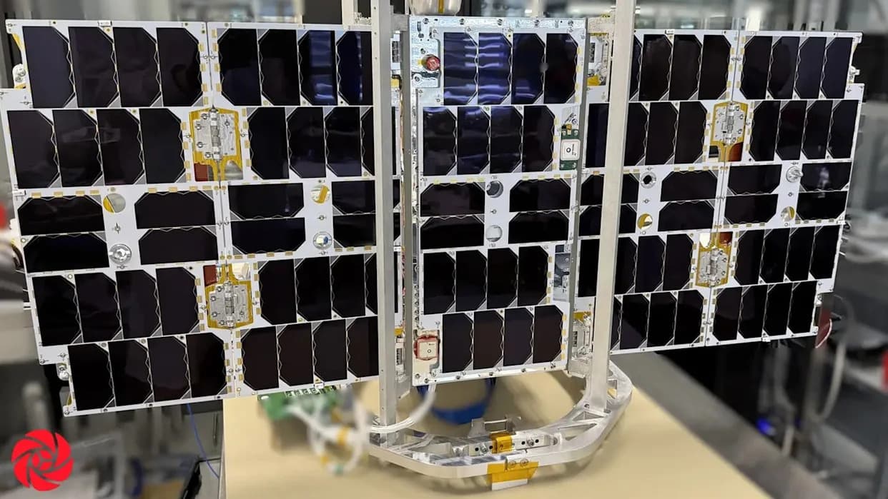 ICARUS 2.0: Satelit za praćenje divljih životinja poleće 11. novembra