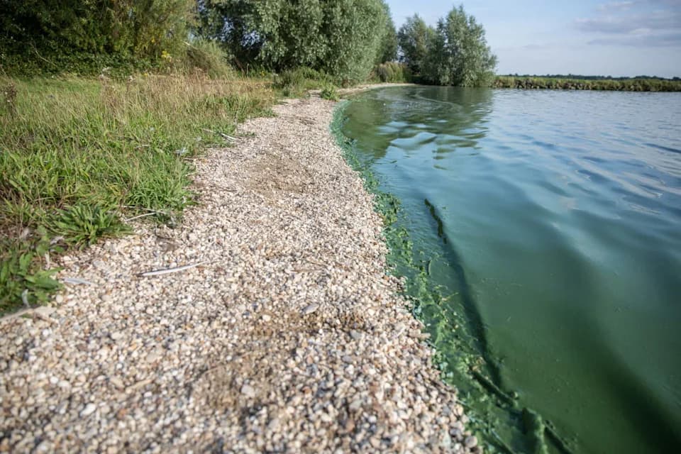Otkriven „ubilački“ škamp u Penarthu — vlasti upozoravaju na visok rizik širenja