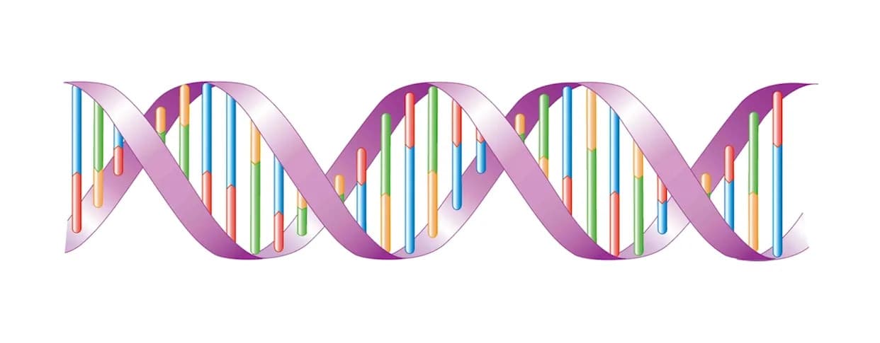 Preminuo James D. Watson, jedan od otkrivača dvostruke spirale DNK i dobitnik Nobelove nagrade