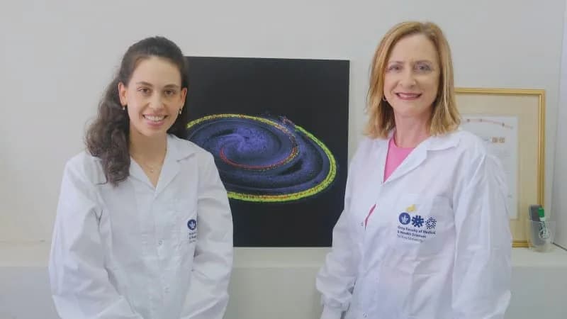 TAU razvila genetsku terapiju koja vraća sluh i ravnotežu — obećavajući rezultati kod miševa