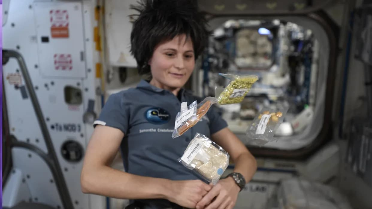 Mogu li insekti nahraniti astronaute? ESA pokreće nove eksperimente