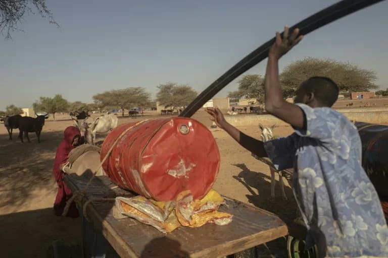 Gušeni blokadom: Hiljade stanovnika Lerea beže u Mauritaniju nakon ultimatumа džihadista
