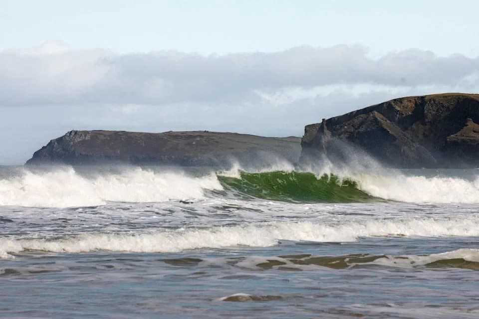 Ronioc snimio retku „praistorijsku“ wreckfish kod Kornvola — mogući znak promena u moru
