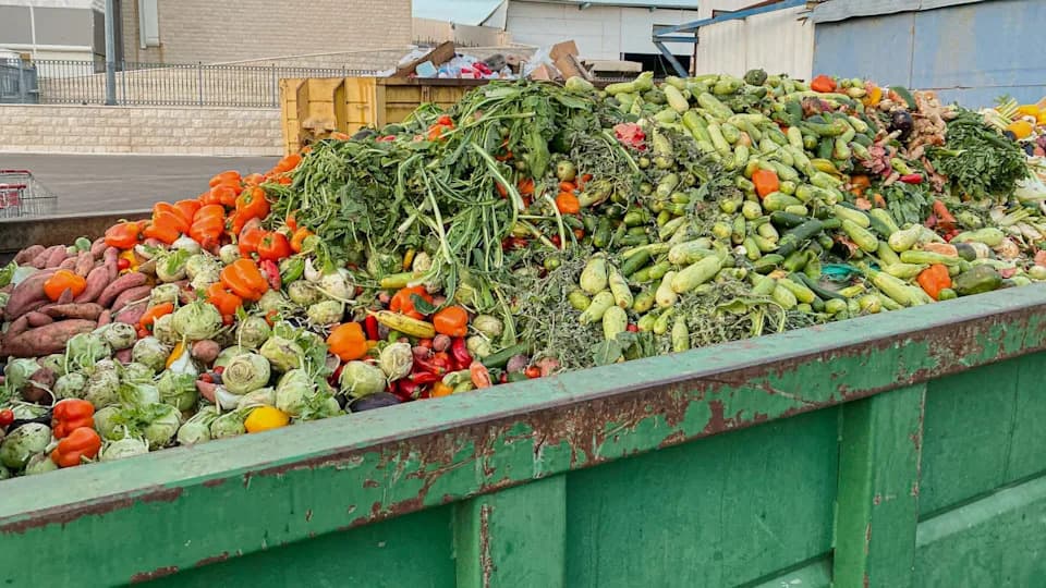 Alarmantno otkriće: prehrambeni sistemi narušavaju 5 od 9 ključnih procesa — hitno su potrebne mape puta