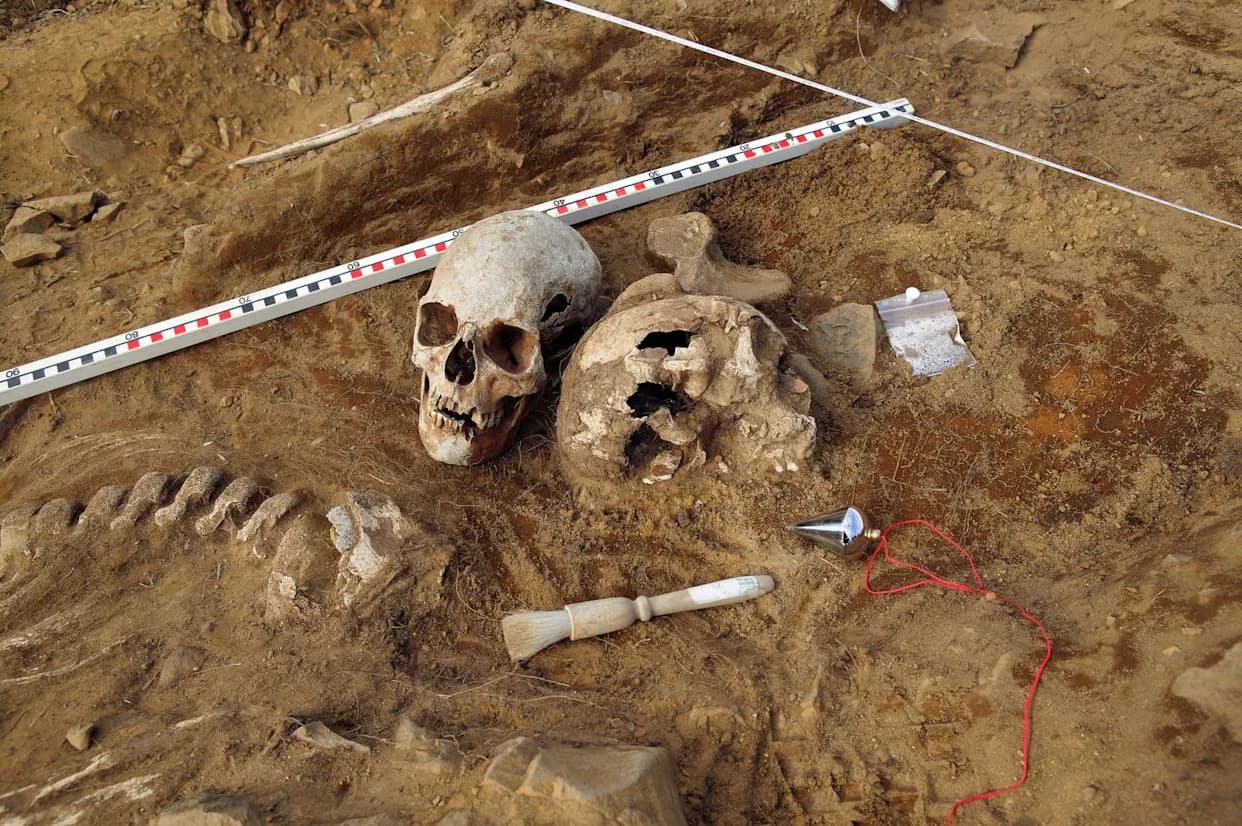 Radovi na putu u Švedskoj otkrili vikinško naselje — kremacioni humak, konji i bogati grobovi