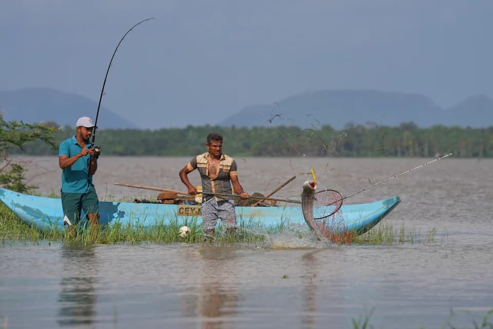 Invazivna snakehead riba preti Deduru Oya — ribari problem pretvaraju u priliku