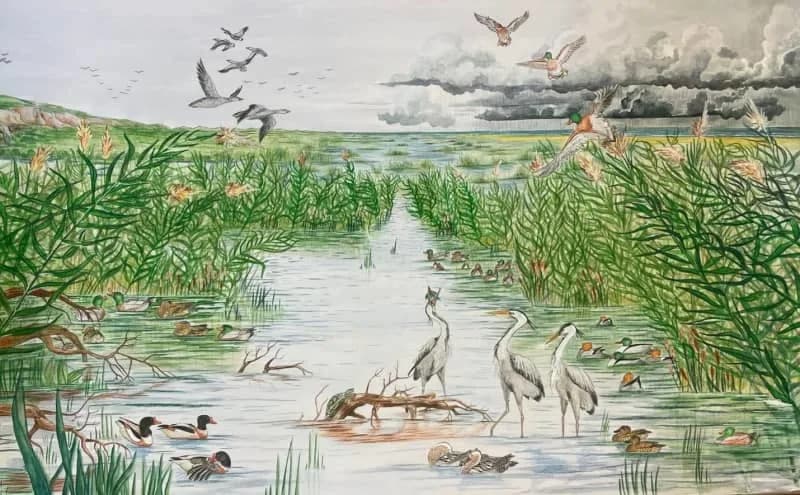 Pre 15.000 godina na Karmelu: Natufijski lovci su lovili vodene ptice u jezerima, a ne na moru