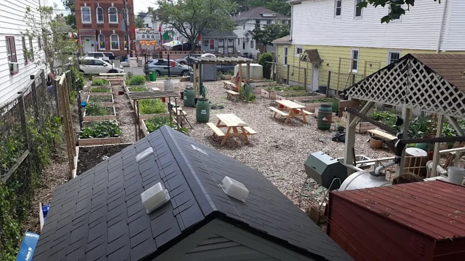 Urbane farme na krovovima: kako hrana i solarna energija čine gradove prijatnijim i otpornijim