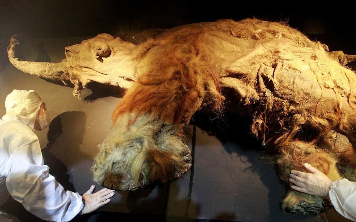 Najstarija RNK ikada otkrivena: vunasti mamuti korak bliže „de‑ekstinkciji“