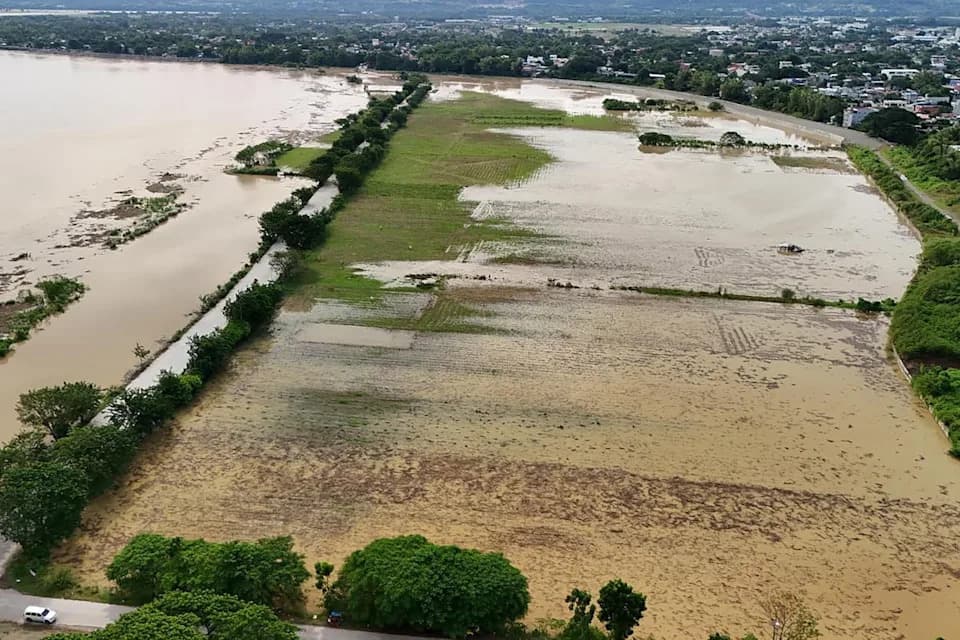 Ekstremne poplave smanjile prinose riže za prosečno 4,3% godišnje — preti rast cena i ugrožava bezbednost hrane