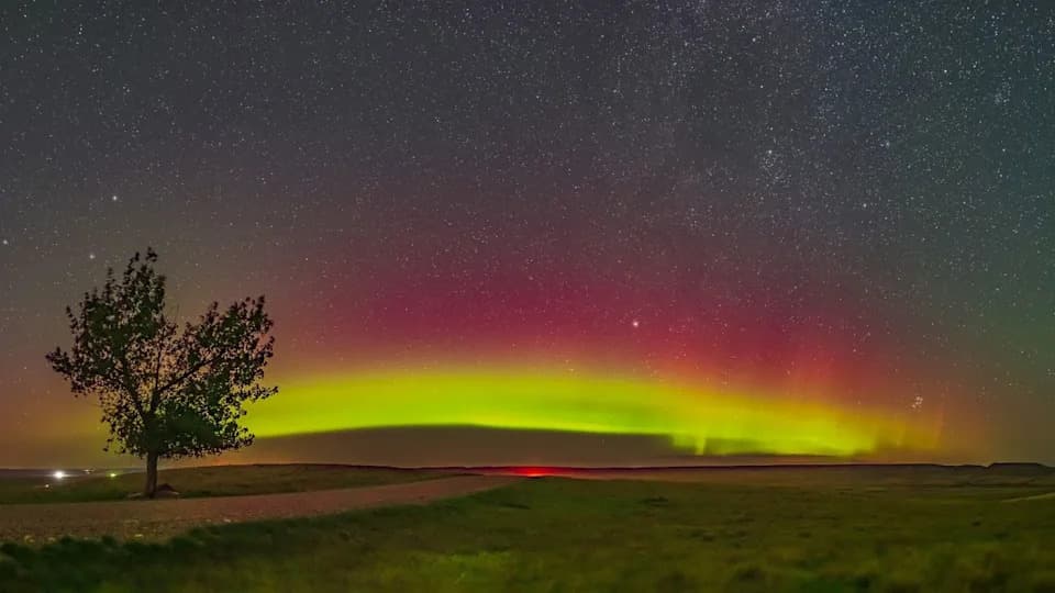 Kako Sunce može da uništi žetvu kikirikija: posledice Gannon oluje i $100M rizika