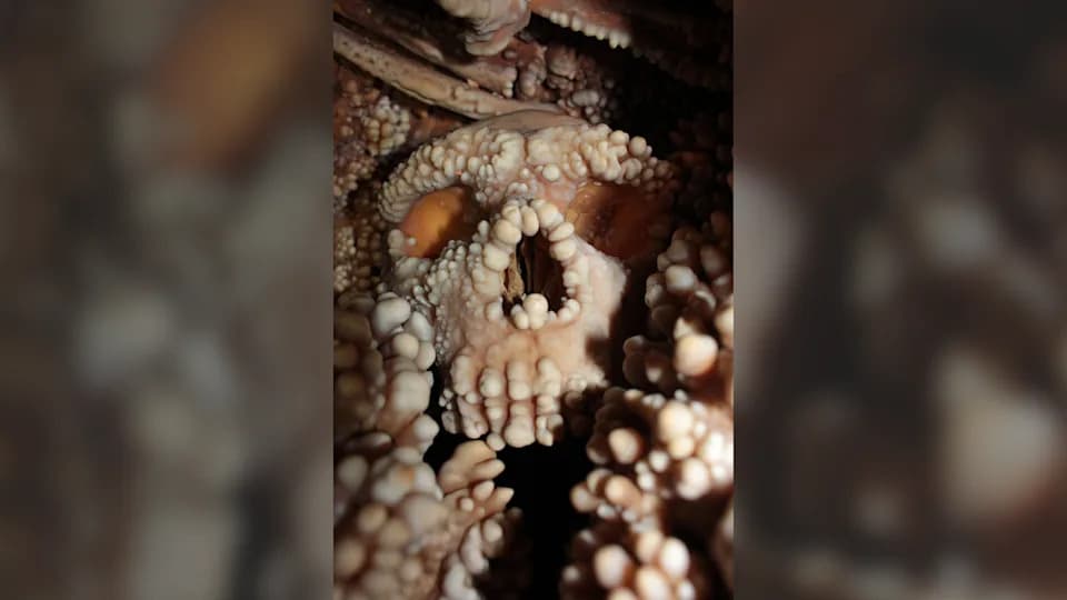 Neandertalski nos nije prilagođen da 'zagreva' vazduh — nova analiza "Altamura Mana"