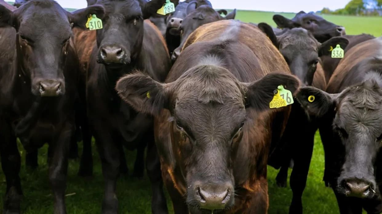 Tesco širi praćenje ekoloških podataka na farmama i traži nacionalni okvir za sigurnost hrane u Velikoj Britaniji