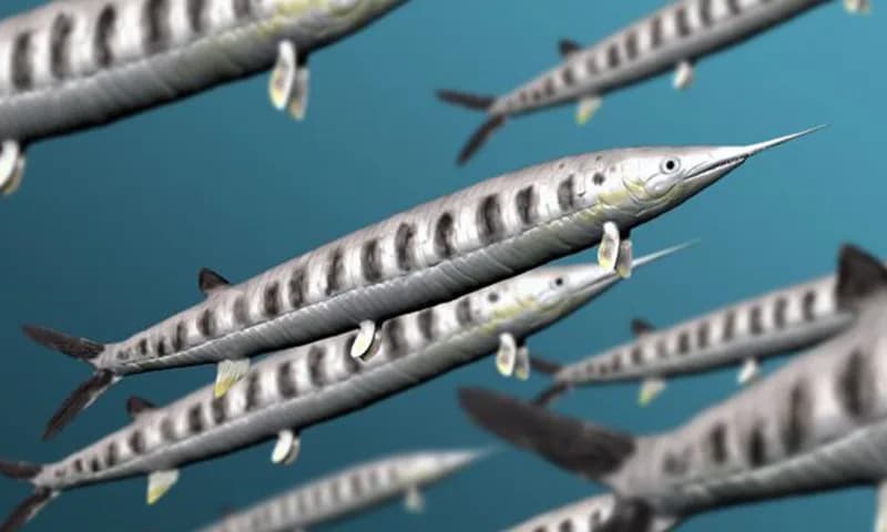 Retki, krvavi fosili otkrivaju brutalne potere u morima kasne jure