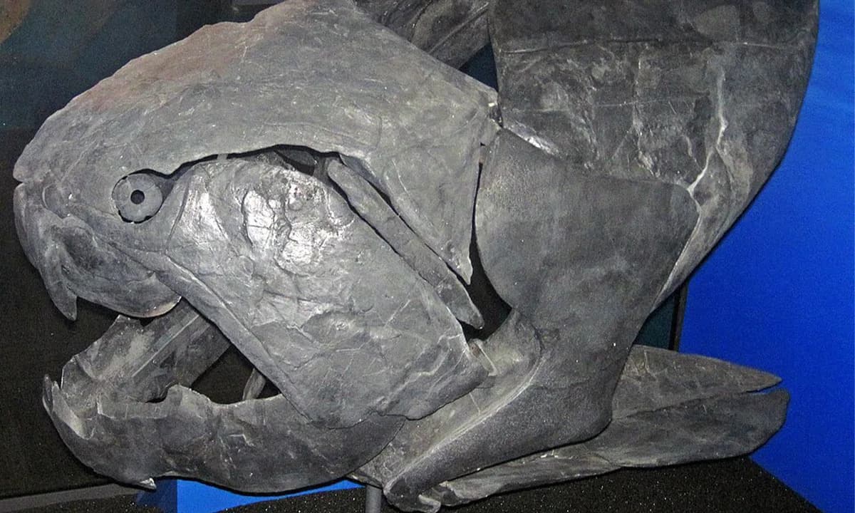 Dunkleosteus — smrtonosni devonski predator koji nije imao prave zube