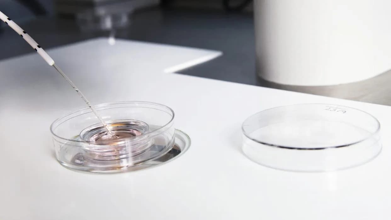 Biokemičar iz Bay Area pokrenuo Preventive za istraživanje CRISPR uređivanja embriona radi prevencije naslednih bolesti