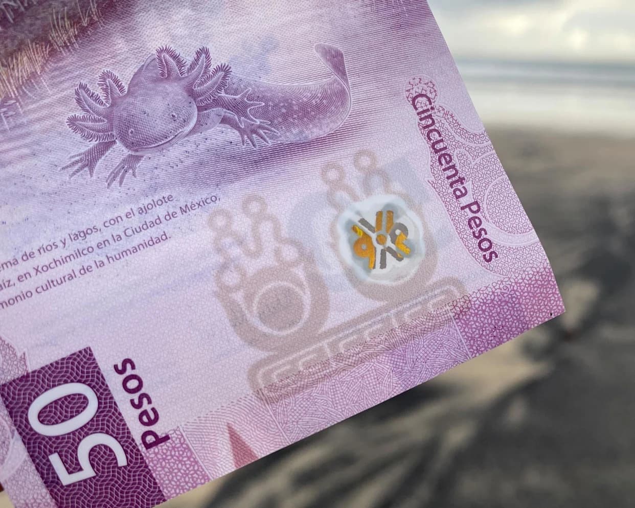 Aksolotl na 50‑pesos: zašto Meksikanci čuvaju novčanicu koju ne žele da troše
