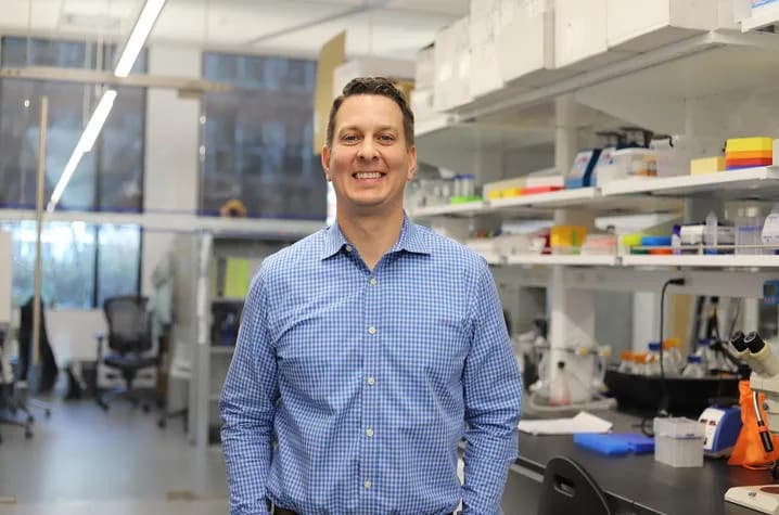 Genetsko uređivanje u miševima: zamena APOE gena smanjila promene povezane s Alchajmerom i poboljšala pamćenje