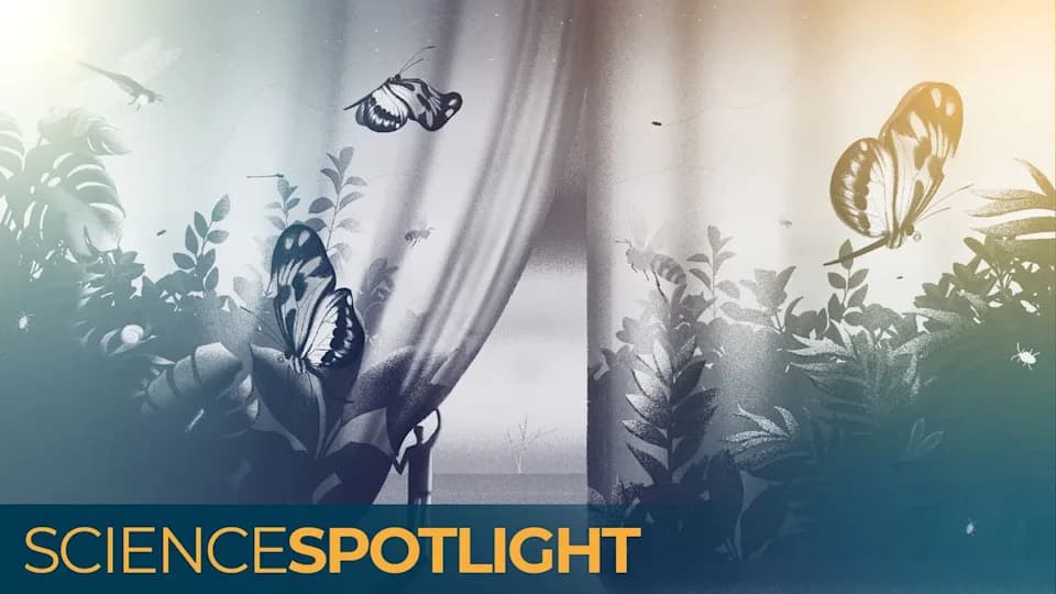 Preteća „insektska apokalipsa”: može li nestanak pčela i leptira ugroziti globalnu ishranu — i kako to zaustaviti?