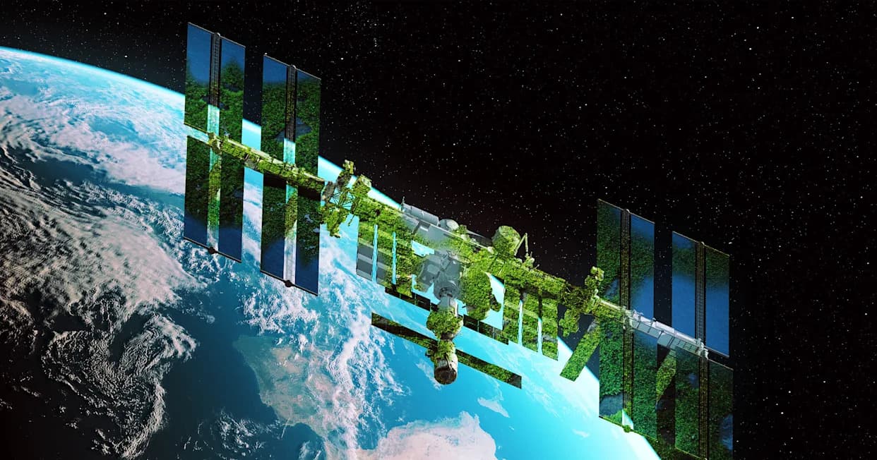 Izdržala svemir: mahovina proživela 283 dana na spoljašnjosti ISS — preko 80% spora proklijalo