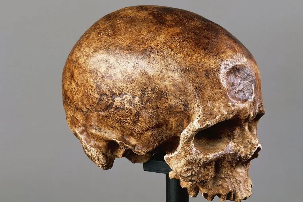 Kako su ljudi evoluirali — i da li ćemo se još menjati?