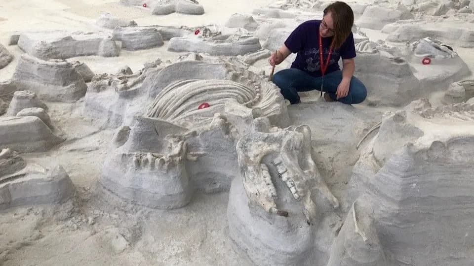 Otisci u 'Rino Pompeji' otkrivaju kosti‑lomačke pse koji su patrolirali posle erupcije Yellowstone pre oko 12 miliona godina