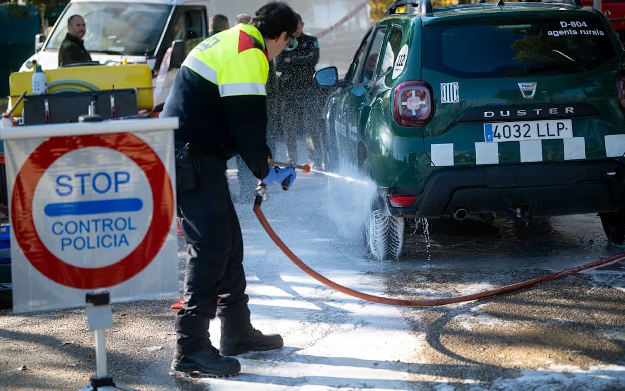 Afrička svinjska kuga u Španiji: da li je izbijanje počelo zato što je vepar pojeo sendvič?