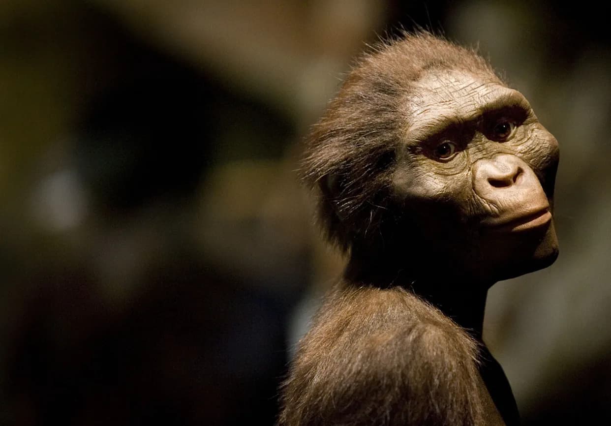 Novo otkriće menja ljudsko evoluciono stablo — otkriven Australopithecus deyiremeda