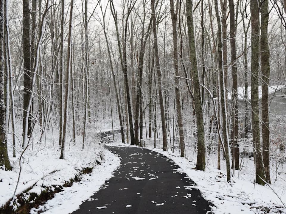 Gde je bilo najhladnije u SAD? Potpuna lista najnižih temperatura po državama