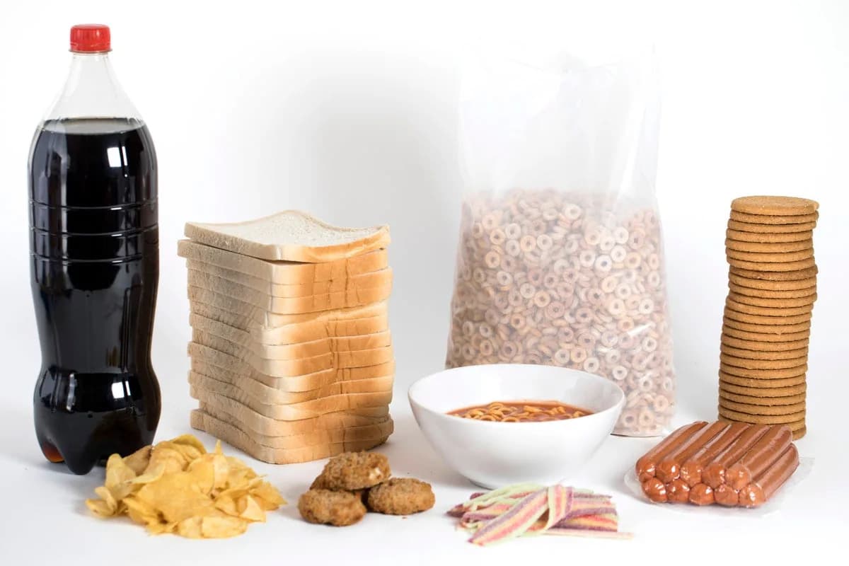 Pre 23.000 godina ljudi su prerađivali biljnu hranu — dokazi ruše mit o 'paleolitskim mesojedima'