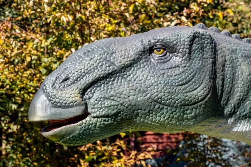 „Medusa“ — Retko Očuvan Fosil Edmontosaurusa Iz Badlandsa Prebačen Na Istraživanje