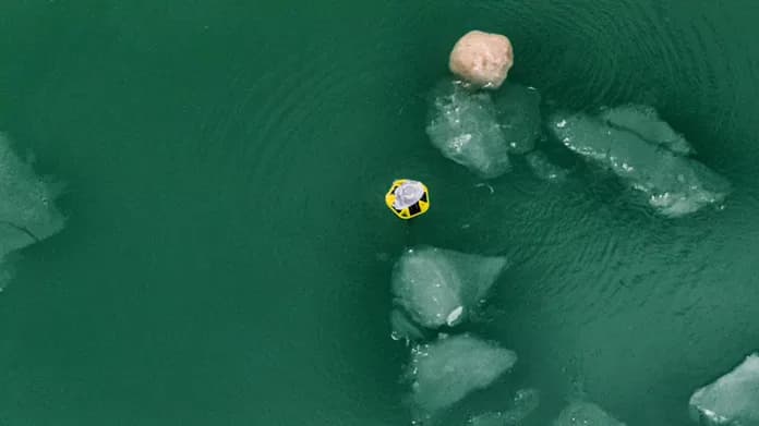 Rogue plutača otkrila prve zimske podatke o talasima i ledu na Jezeru Michigan