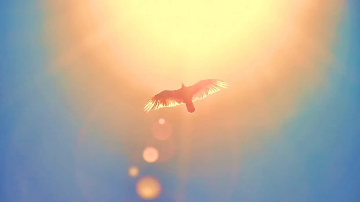 Studija: Leto u Evropi Može Trajati Do 42 Dana Duže Do 2100. Zbog Zagrevajućeg Arktika