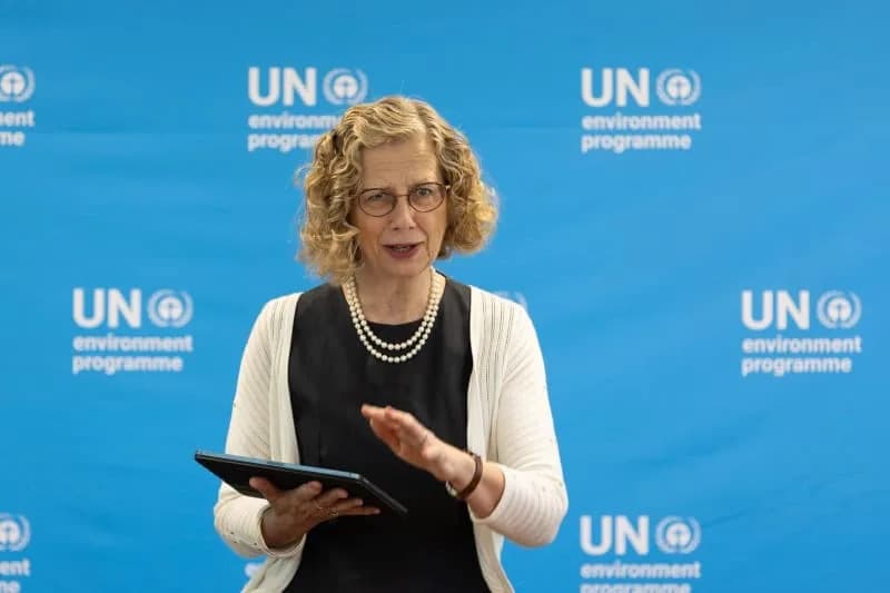 UNEP: Hitna Globalna Promena Kursa Za Klimu, Prirodu I Ekonomiju