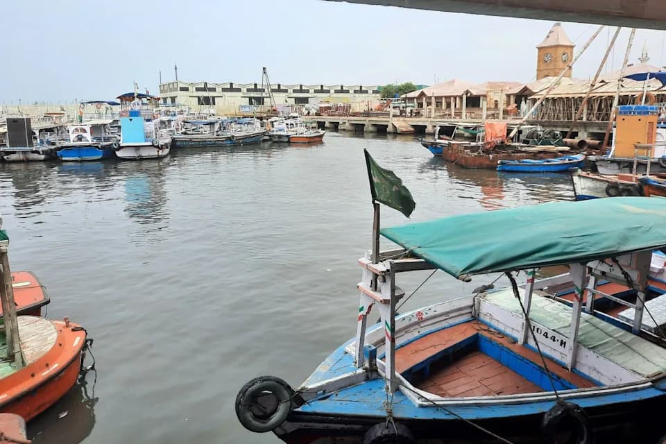 Jato Od Šest Arapskih Grbavih Kitova Kod Gwadara Znak Je Oporavka: "Zaslužuje Priznanje"