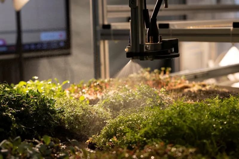 Italija: 3D-Štampa Pretvara Biljne Ćelije i Ostatke Voća u Nutritivne Grickalice