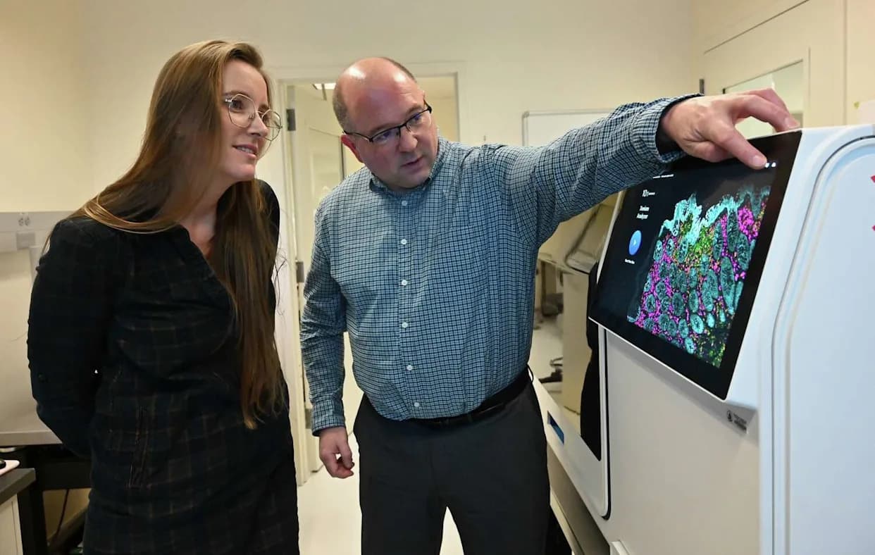 Novi spoj sa Univerziteta u Albanyju smanjuje toksične CAG ponavljanja — nada protiv Hantingtonove i 50–70 srodnih bolesti