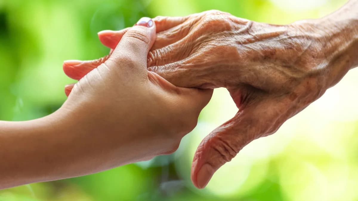 Uobičajeni Lek Za Pritisak Rilmenidin Može Produžiti Život I Usporiti Starenje Kod Životinja