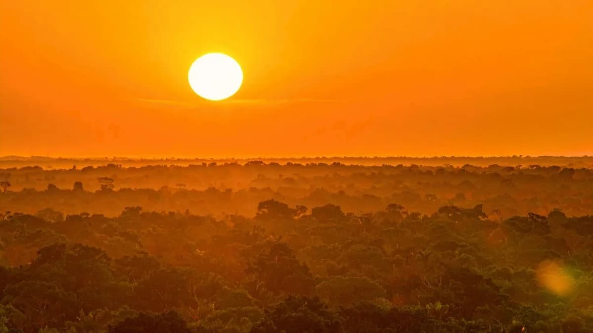 Amazon Se Premešta U 'Hipertropsko' Stanje — Šta To Znači Za Šume I Klima?