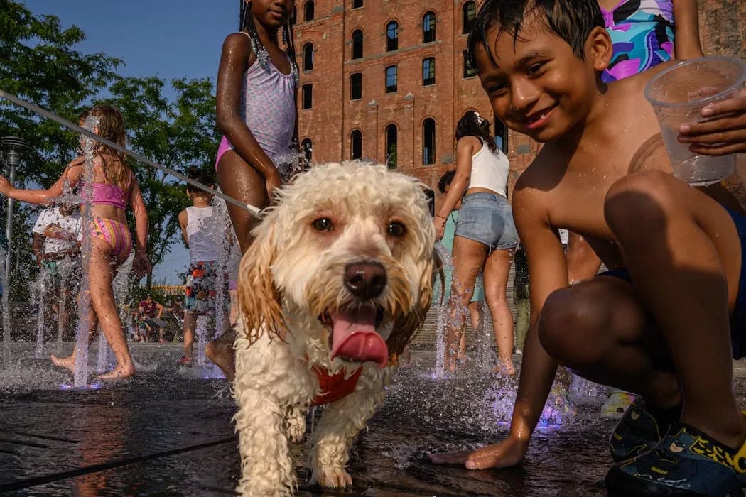 Zašto ljudi nemaju krzno kao životinje? Biolog objašnjava