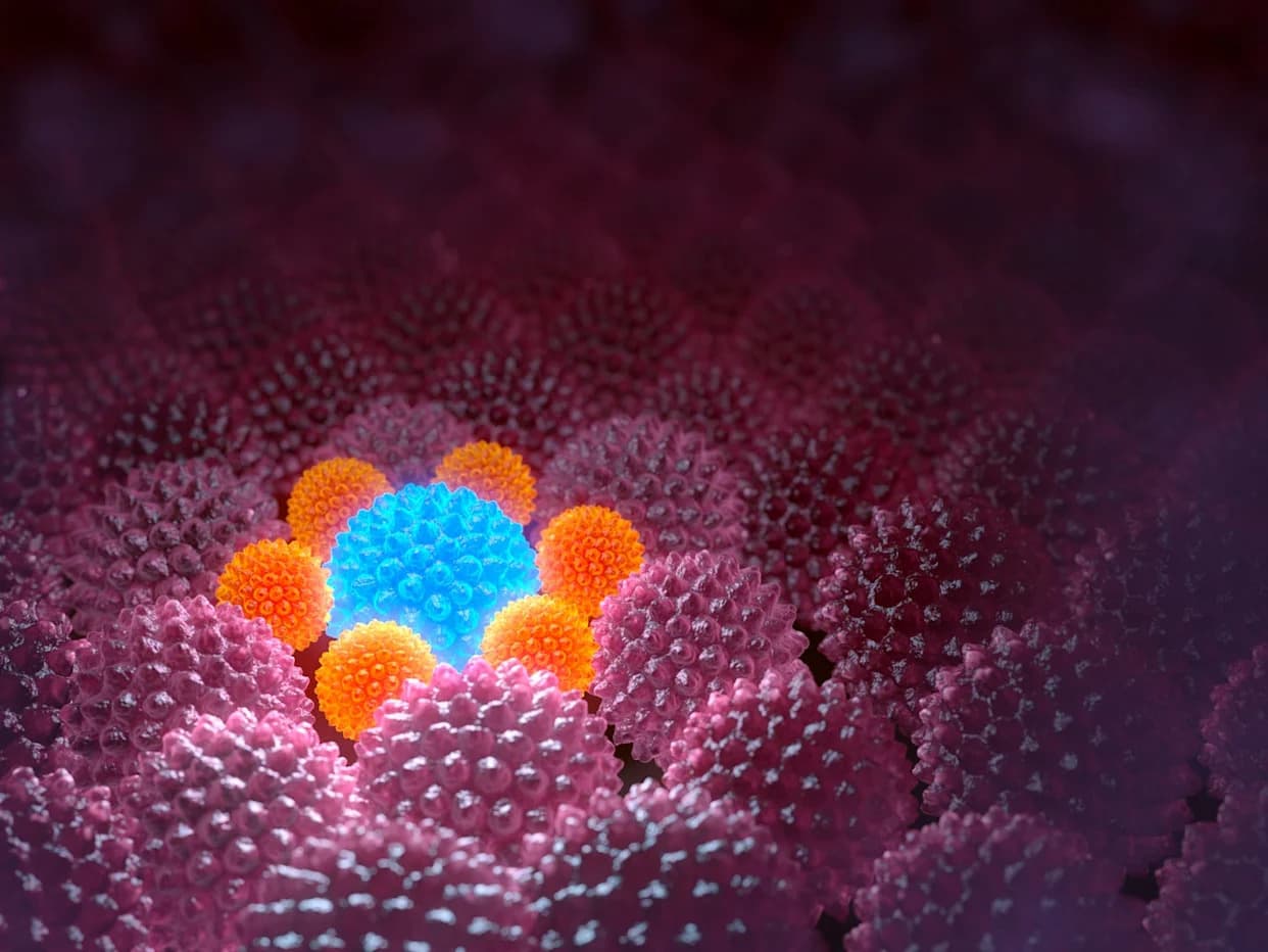 Neke Ćelije Prkose Smrti: Otkriven Mehanizam Koji Pojačava Otpornost Na Zračenje