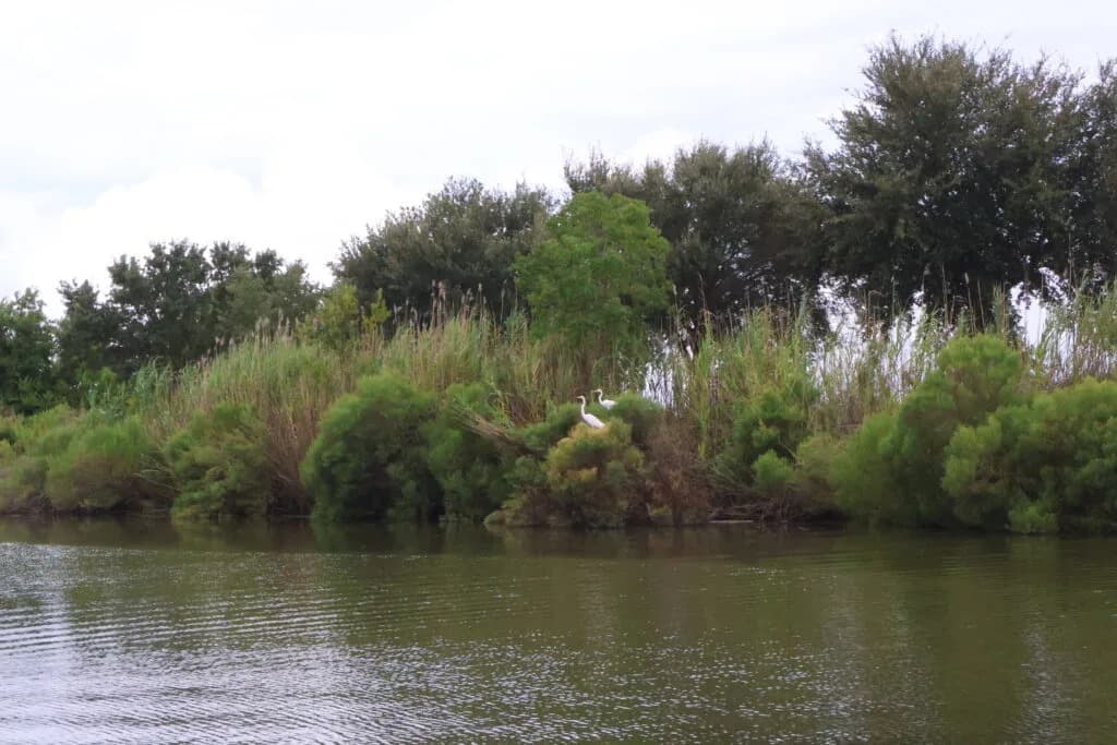 Delte reka tonu brže nego što mislimo — šta to znači za obale i ljude