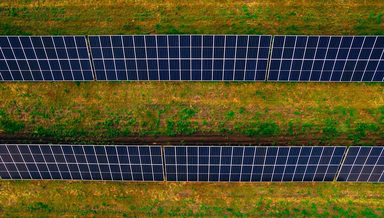 Agrivoltaika obnavlja tlo pustinje Hobq — do 550% više nutrijenata i >10× mikrobne biomase