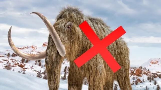 Nauka ove nedelje: Fosili sa Aljaske nisu mamuti već kitovi, NASA vraća astronaute, supermoći riđokosih i više