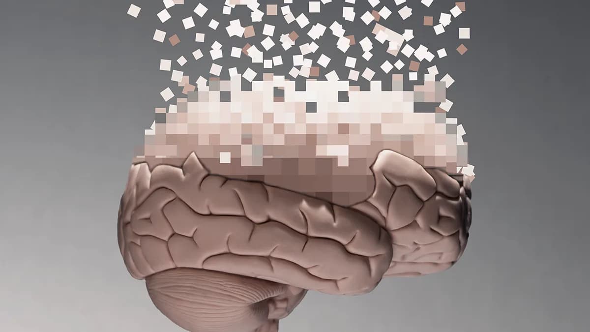 10.000 Snimaka Mozga Otkriju Zašto Pamćenje Slabi Sa Godinama