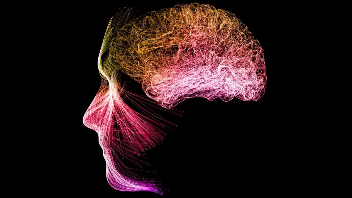 Kako meditacija menja mozak: studija pokazuje put ka „kritičnosti“ i moguće rizike